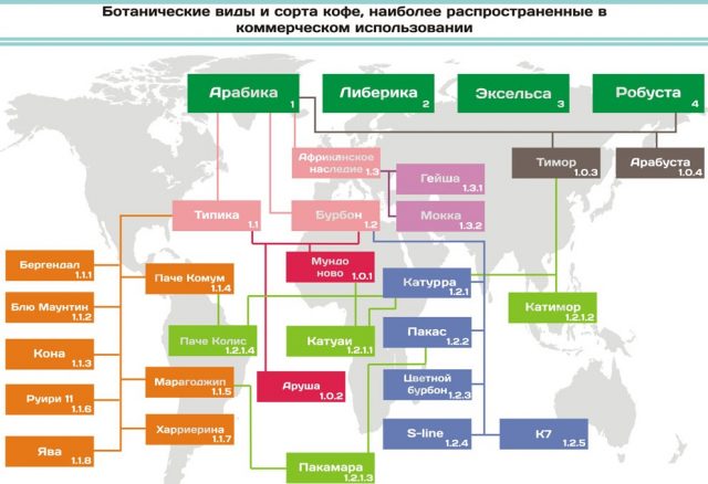 кофе бурбон и другие мутации