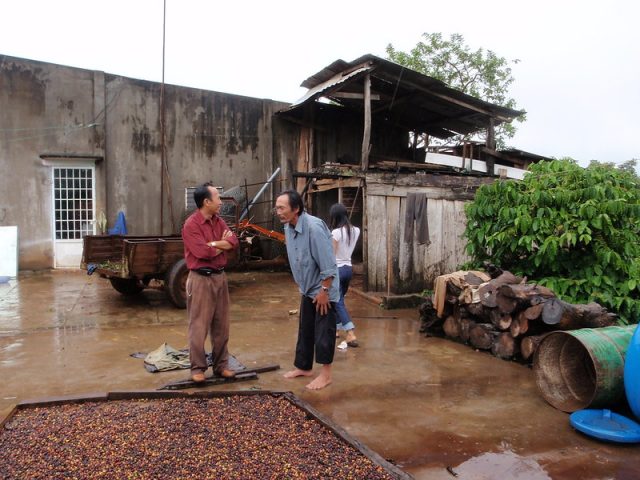 Ферма и станция обработки кофе во Вьетнаме