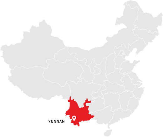 Провинция Юньнань - главный кофейный регион Китая